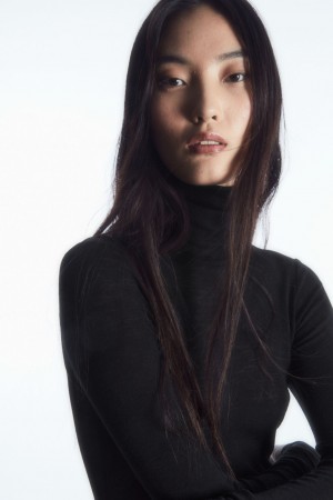Women's COS Merino Wool Turtleneck Top Sweaters Black NZ-73NTWQPOE
