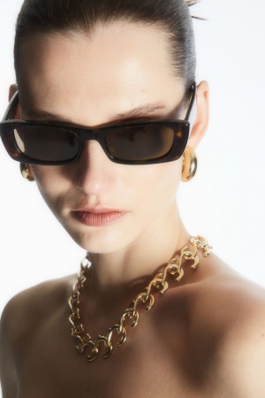 Women's COS Narrow Cat-Eye Sunglasses Brown NZ-98TARNUKF