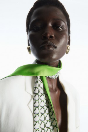 Women's COS Printed Pure Silk Scarf Light Green NZ-63KMSLCQD