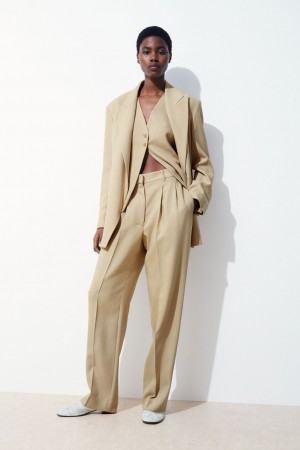 Women's COS The Pleated Tailored Trousers Beige NZ-17OSUZVEJ