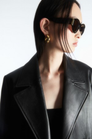 Women's COS Tortoiseshell Cat-Eye Sunglasses Brown NZ-76INMVKAE