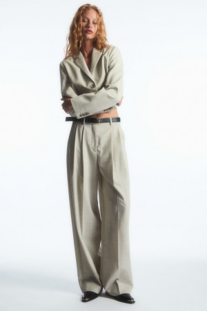 Women's COS Wide-Leg Tailored Wool Pants Light Beige NZ-60IDQVFOG