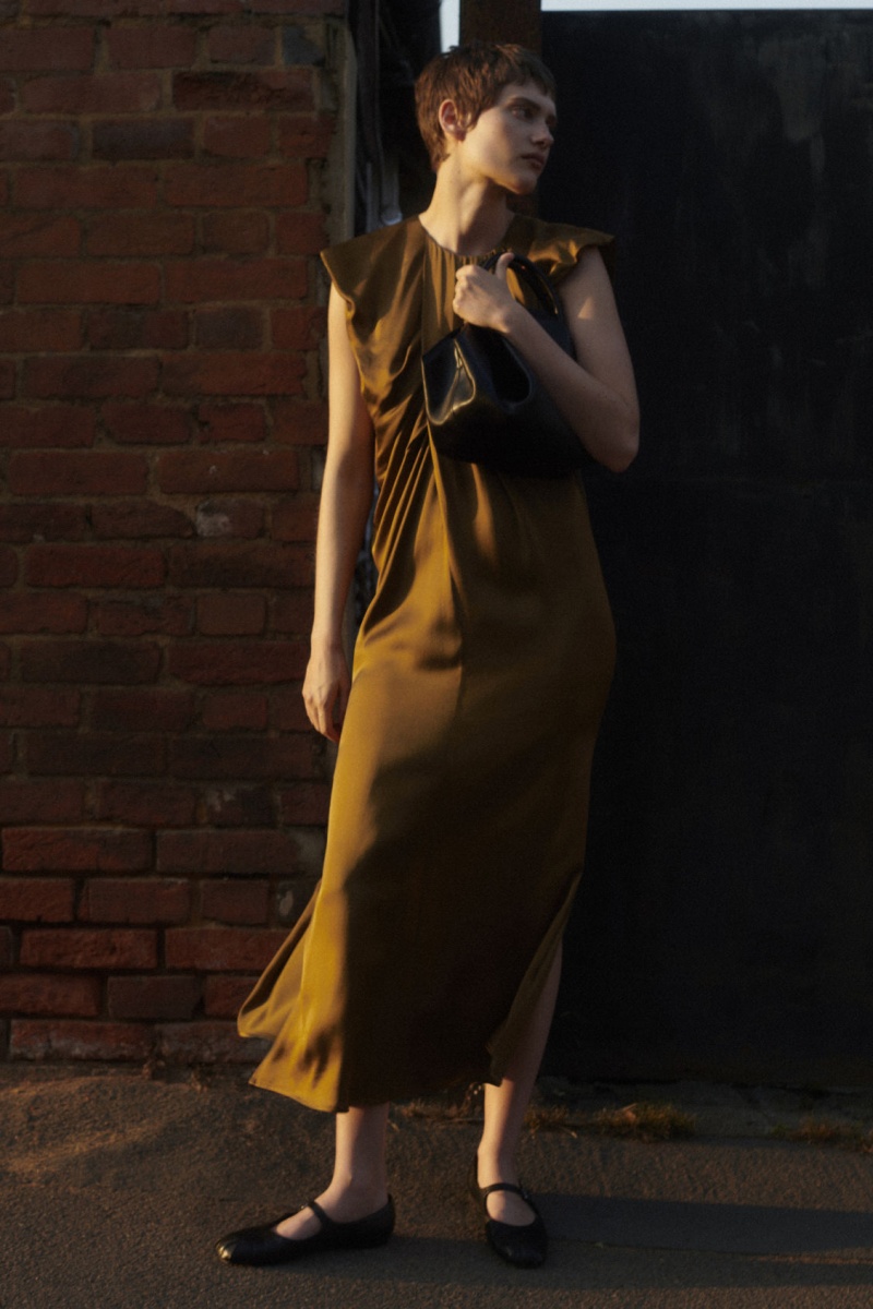 Women's COS Draped Cap-Sleeve Midi Dress Brown NZ-64VIJOTSC