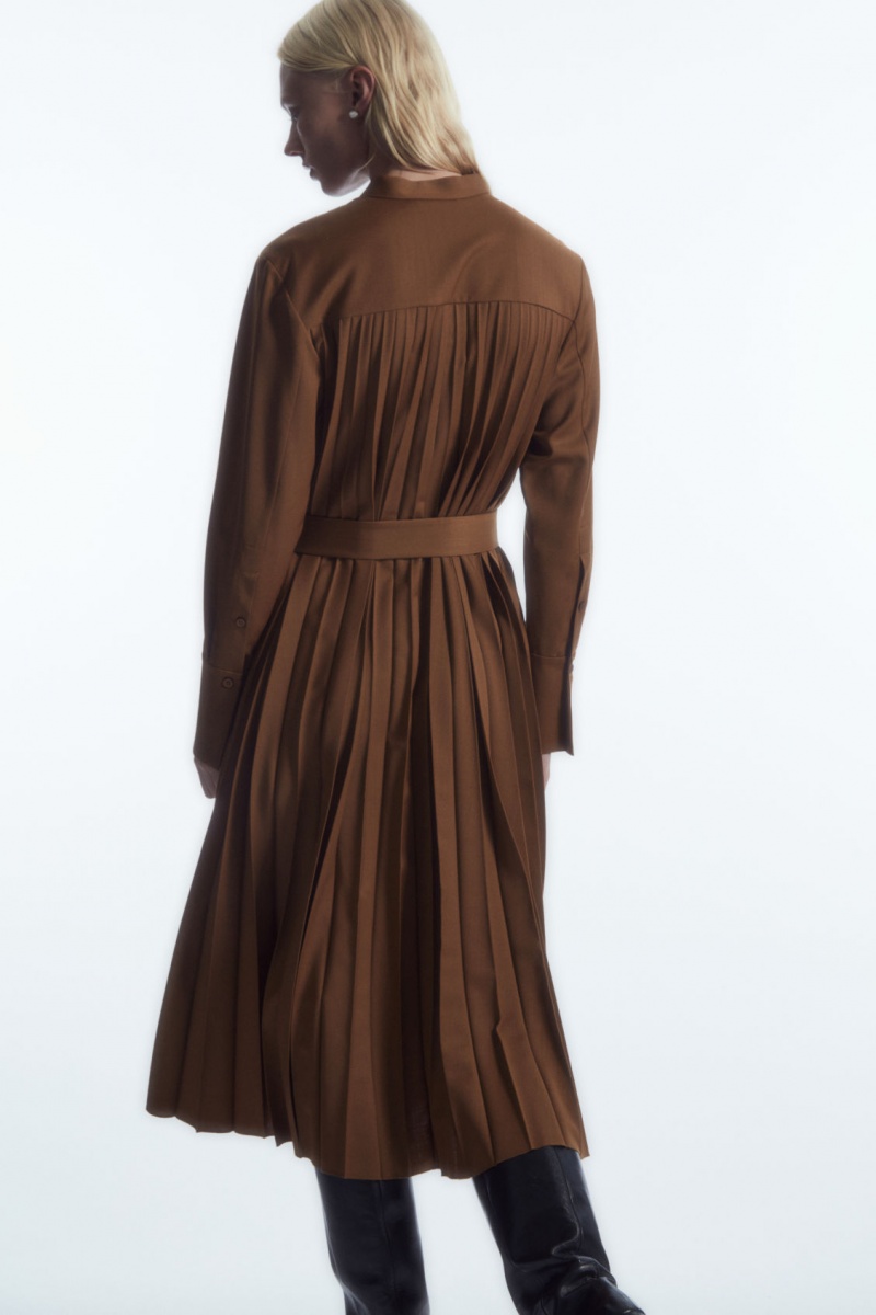 Women's COS Pleated Wool-Blend Dress Brown NZ-24DWPQXMY