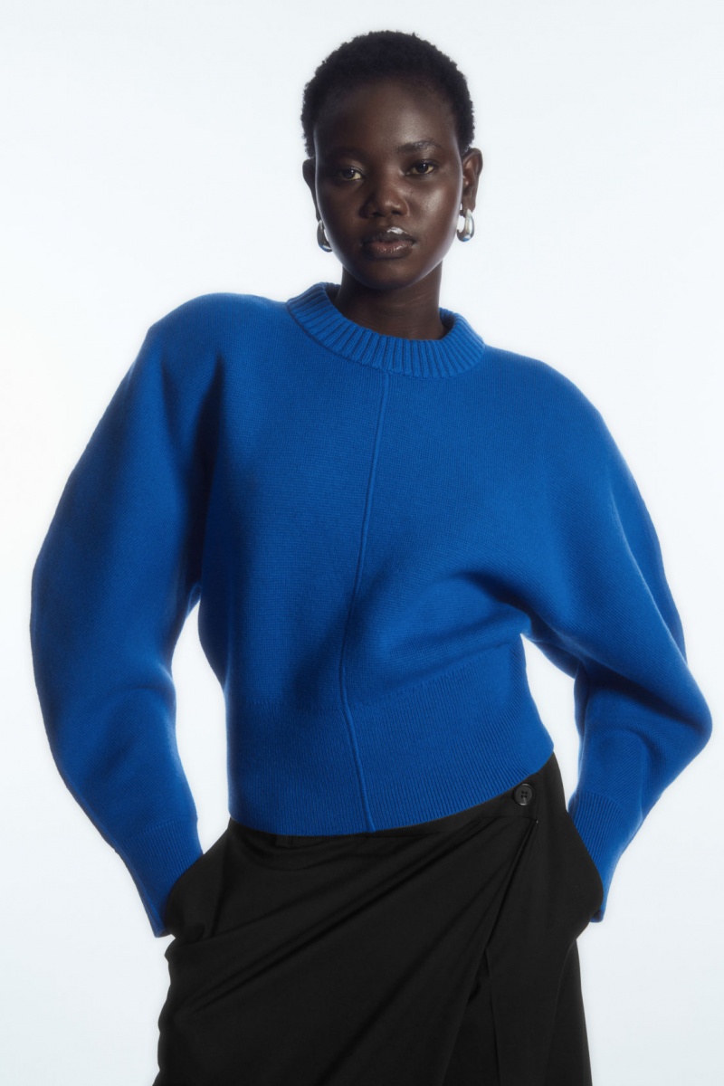 Women's COS Power-Shoulder Waisted Sweaters Light Blue NZ-91IMKOCYU