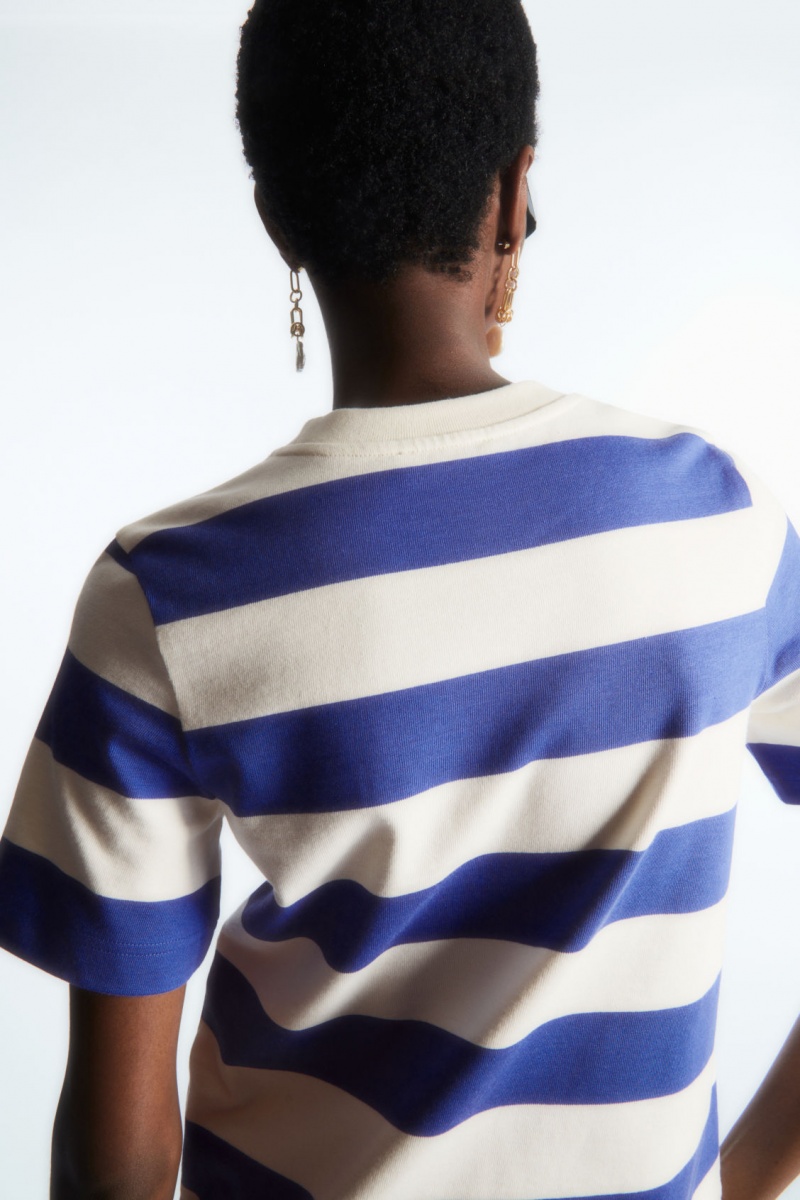 Women's COS The Clean Cut T-Shirt Blue / White NZ-92IDEWSMX