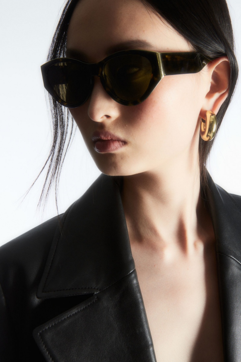 Women's COS Tortoiseshell Cat-Eye Sunglasses Brown NZ-76INMVKAE