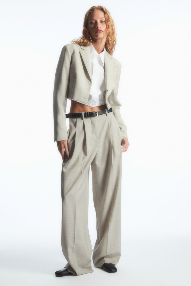 Women's COS Wide-Leg Tailored Wool Pants Light Beige NZ-60IDQVFOG