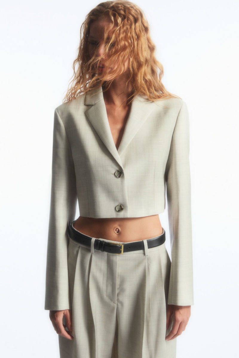 Women's COS Wide-Leg Tailored Wool Pants Light Beige NZ-60IDQVFOG